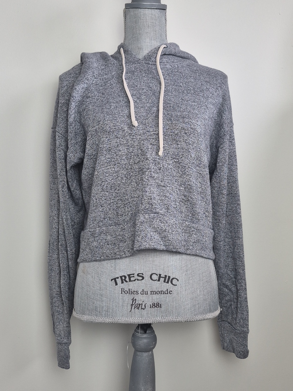 Aritzia Community Cropped Hoodie Medium Oversized